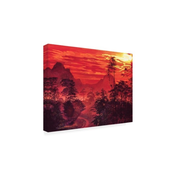 David Lloyd Glover 'Amazon Sunset' Canvas Art,24x32